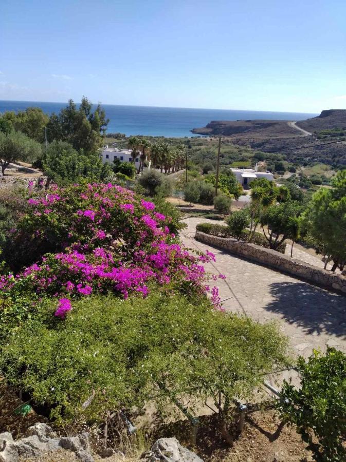 Káto Zákros Anthia Apartment Sea View מראה חיצוני תמונה